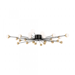 Потолочный светильник FR5242CL-24B
