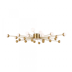 Потолочный светильник FR5242CL-24BS