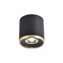 3086-2C, потолочный светильник, D88xH91, LEDx10W, 800LM, 4000K, IP20, included