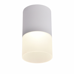 3069-1C, потолочный светильник, D64xH110, LEDx5W, 400LM, 4000K, IP20, included