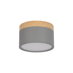 10162 Grey Накладной светильник LOFT IT Grape