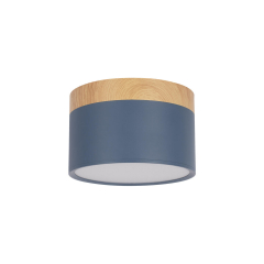 10162 Blue Накладной светильник LOFT IT Grape