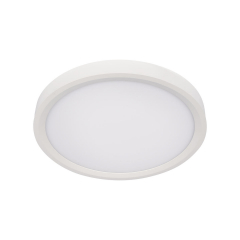 10227/24 White Потолочный светильник LOFT IT Extraslim