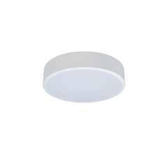 10002/12 White Потолочный светильник LOFT IT Axel