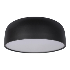 10201/480 Black Потолочный светильник LOFT IT Axel