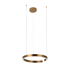 10013M Подвесной светильник LOFT IT Ring