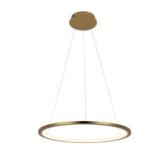 10014M Подвесной светильник LOFT IT Ring