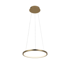 10014S Подвесной светильник LOFT IT Ring