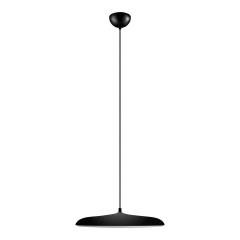 10119 Black Подвесной светильник LOFT IT Plato