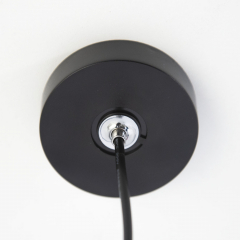 Citilux Тубус CL01PB121N LED Подвесной светильник Чёрный