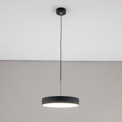 Citilux Тао CL712S242N LED Подвесной светильник с диммером