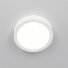 Citilux Галс CL5516N Светильник накладной светодиодный