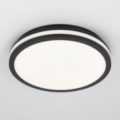 Citilux LUNS CL711021V LED Светильник влагозащищённый Чёрный