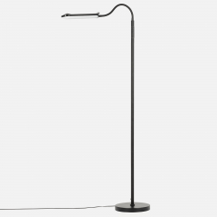 Citilux Alex CL804051 Торшер с пультом Чёрный