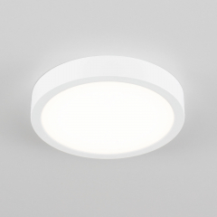 Citilux Галс CL5522N Светильник накладной светодиодный