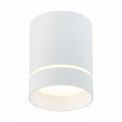 ST115.532.12 Светильник потолочный Белый LED 1*12W 3000K 840Lm Ra&gt;90 120° IP20 D79xH100 170-240V Накладные светильники