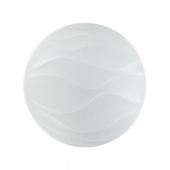 2090/DL PALE SN 067 Светильник пластик/белый LED 48Вт 3000-6300K D440 IP43 пульт ДУ ERICA