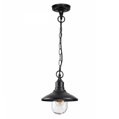 4965/1 NATURE ODL22 639 черный/стекло Ландшафтный подвес E27 1*60W IP44 CAMPA