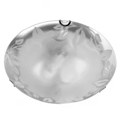 Потолочный светильник Arte Lamp LEAVES A4020PL-2CC