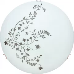 Потолочный светильник Arte Lamp ORNAMENT A3820PL-2CC