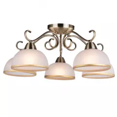 Потолочная люстра Arte Lamp BEATRICE A1221PL-5AB