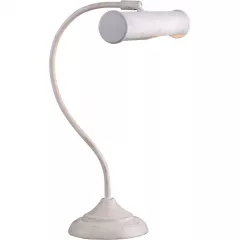 Офисная настольная лампа Arte Lamp PICTURE LIGHTS BASIC A5023LT-1WG