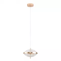 Подвесной светильник Arte Lamp ANDROMEDA A2089SP-6GO