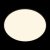 10226 Black Потолочный светильник LOFT IT Brim, изображение 6