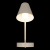 10216/1W White Настенный светильник LOFT IT Shelf, изображение 2