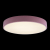 10002/24 Pink Потолочный светильник LOFT IT Axel, изображение 2