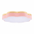 10225/36 Pink Потолочный светильник LOFT IT Axel, изображение 3