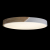 10004/36 White Потолочный светильник LOFT IT Axel, изображение 4