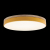 10001/36 Yellow Потолочный светильник LOFT IT Axel, изображение 2