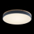10001/36 Grey Потолочный светильник LOFT IT Axel, изображение 3