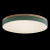 10001/36 Green Потолочный светильник LOFT IT Axel, изображение 2