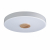 10003/24 White Потолочный светильник LOFT IT Axel