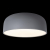 10201/480 Grey Потолочный светильник LOFT IT Axel, изображение 2
