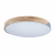 10004/36 Grey Потолочный светильник LOFT IT Axel, изображение 3