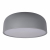 10201/480 Grey Потолочный светильник LOFT IT Axel