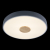 10003/24 Grey Потолочный светильник LOFT IT Axel, изображение 4