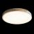 10004/36 White Потолочный светильник LOFT IT Axel, изображение 2