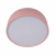 10201/350 Pink Потолочный светильник LOFT IT Axel, изображение 3