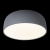 10201/480 Grey Потолочный светильник LOFT IT Axel, изображение 4