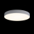 10002/24 White Потолочный светильник LOFT IT Axel, изображение 2