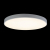 10002/48 White Потолочный светильник LOFT IT Axel, изображение 2