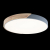 10004/36 Grey Потолочный светильник LOFT IT Axel, изображение 2