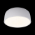 10201/350 White Потолочный светильник LOFT IT Axel, изображение 4