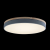 10001/36 Grey Потолочный светильник LOFT IT Axel, изображение 2