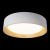 10202 White Потолочный светильник LOFT IT Coin, изображение 2