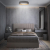 10202 Grey Потолочный светильник LOFT IT Coin, изображение 7